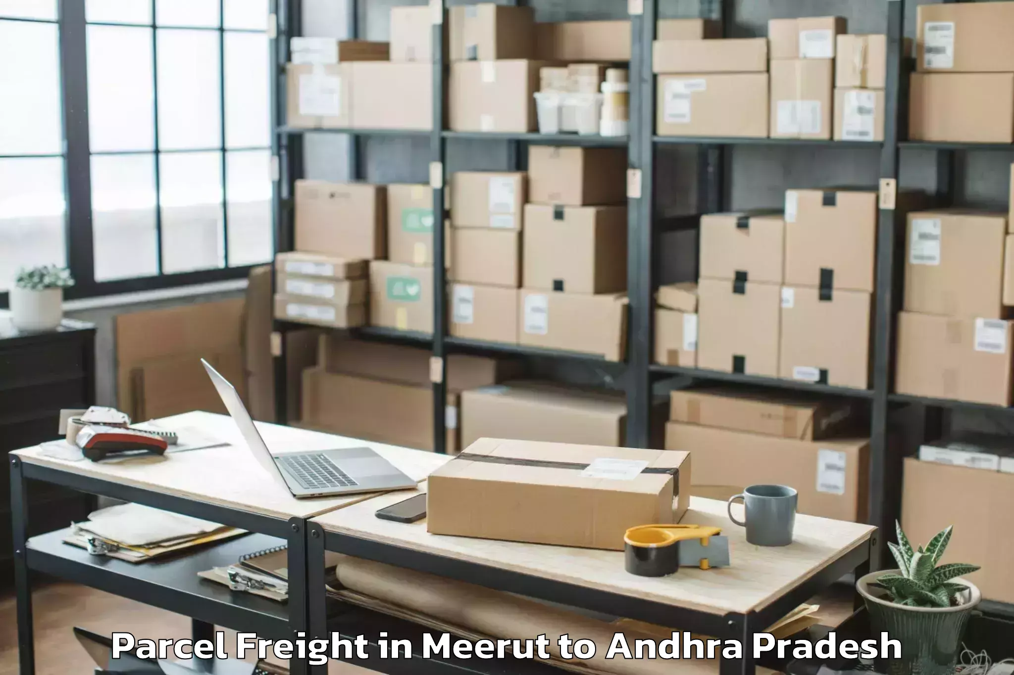 Efficient Meerut to Palakollu Parcel Freight